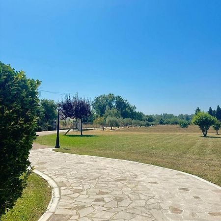 מלון אולסינץ' Casa Family מראה חיצוני תמונה